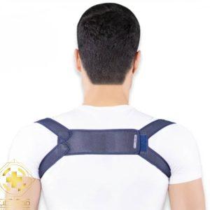 قوزبند پروانه‌ای Free